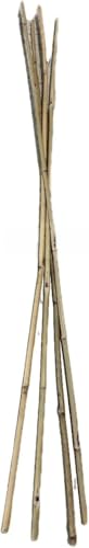 Bamboo Garden Stakes - Bambo Sticks, Bamboo Plant Stakes for Outdoor Plants, Plant Support Stakes for Indoor Plants (7 Foot - 20 Pack)