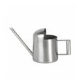 Mini Watering Can for Succulents & Bonsai Tiny Stainless Steel Indoor Plant Watering Can with Long Spout for Small Desk Plants, 11oz/300ml