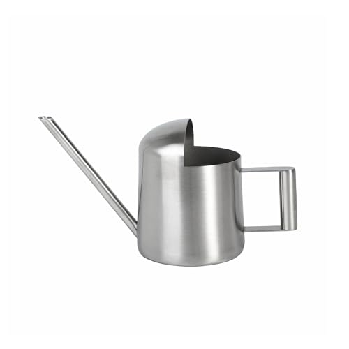 Mini Watering Can for Succulents & Bonsai Tiny Stainless Steel Indoor Plant Watering Can with Long Spout for Small Desk Plants, 11oz/300ml