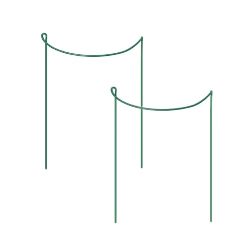 2pcs Iron Plant Support Trellis Stake for Rose Branches Peppers