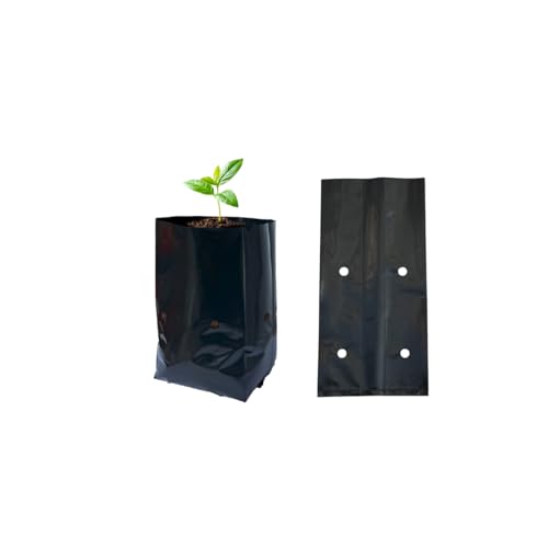 1/4 Gallon 100 Pcs Thicken Seedling Nursery Bags, 3.9" x 6.1" Deep Plastic Grow Bags with Drainage Holes, Heavy Duty Plant Starter Pots for Vegetables, Flowers, Succulents and Cuttings