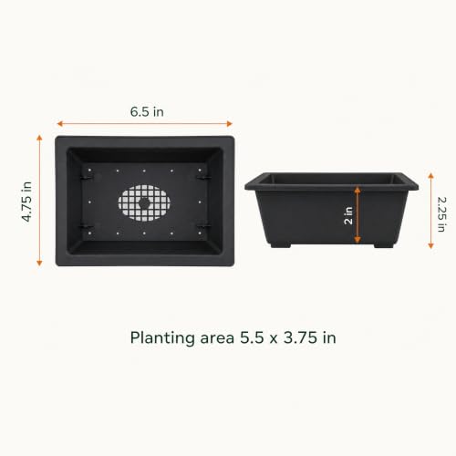 Shallow Bonsai Pots with Drainage Holes and Trays, 6 Inch Training, 3 Pack - view 3
