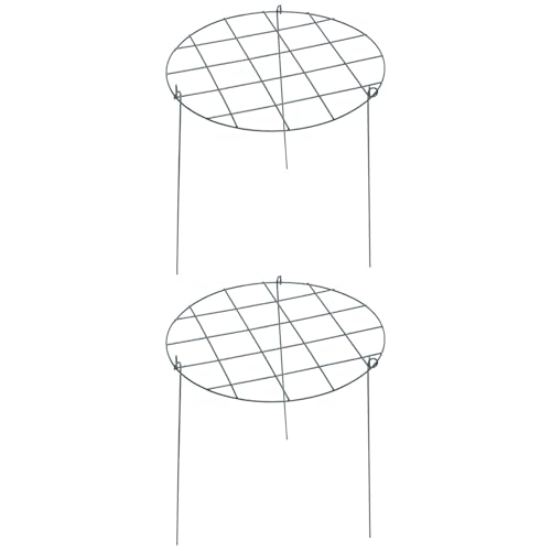 2pcs Iron Plant Climbing Rack Pole for Potted Creeper Garden Support