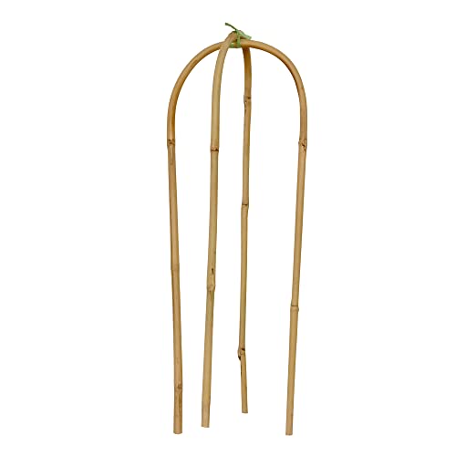 10-Packed in Carton, 18" Natural Bamboo U Trellis Support for Climbing Plants, U Hoop Trellis Perfect for Potted Plant Growing - view 6