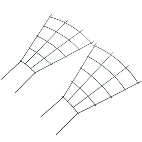 2pcs Plant Trellis Iron Climbing Support Rack for Flowering Vines