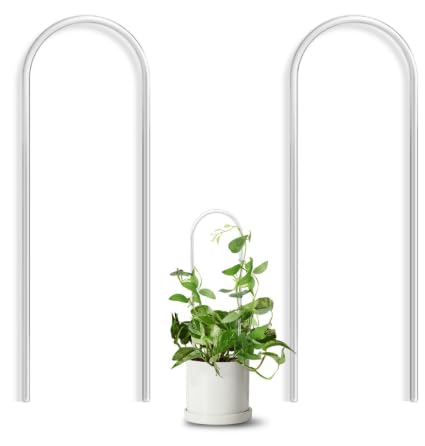 Sdnaie Architect Order Tree Plant Trellis