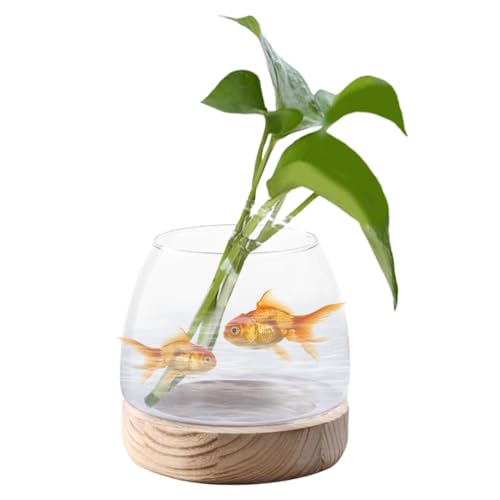 Glass Planter Propagation Stations Wooden Rack Clear Plant Holder for Garden Office Desk, Medium - view 4