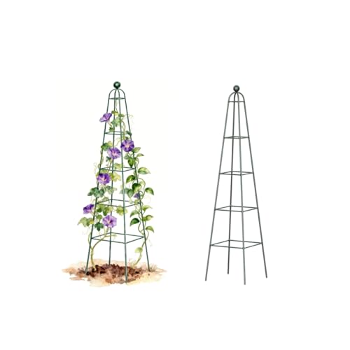 6.5 ft Pyramid Obelisk Garden Trellis, Metal Rustproof Plant Support Rose Trellis, Tower Potted Cages for Flowers Fruits Vegetable Vines Indoor & Outdoor