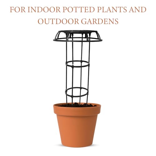 Indoor Trellis Plant Support Rack Φ25.4 Plastic Coated Metal Frame Black - view 3