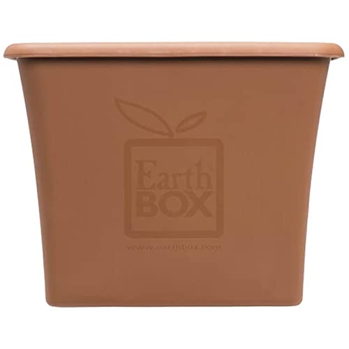 Organic Terra Cotta Kit, Pack of 2 Planters - view 6