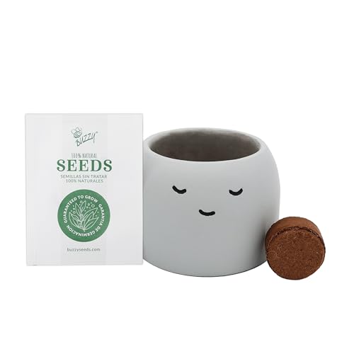 Seeds Peaceful Face Grow Kit 3-Pack, Painted Concrete Planters - view 4