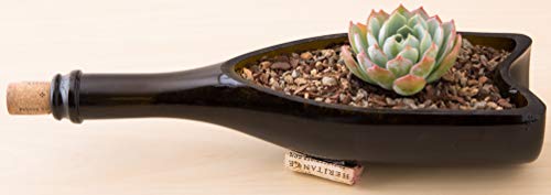 Succulent, Cactus and Bonsai Soil - Jacks Gritty Mix - 12 Gallons – Fast Draining – Fight Root Rot – Optimized pH - view 6