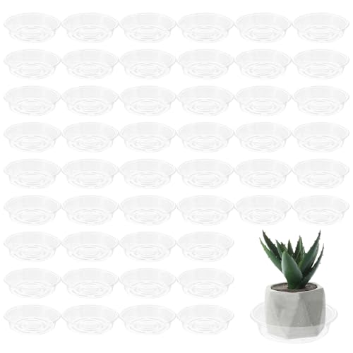 Plant Saucer 40 Pack Plant Trays for Pots 8 Inch Plastic Plant Saucers for Outdoors and Indoors Clear Drip Trays for Potted Plants Flower Pot Plates to Catch Water Plant Drainage Dishes No Holes - view 6