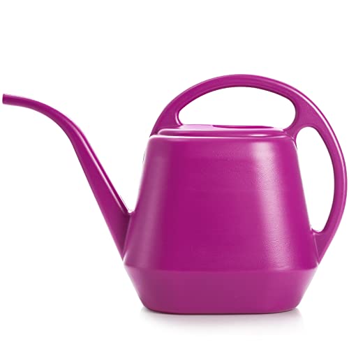 Plastic Watering Can, Rose Red, 1-Gallon