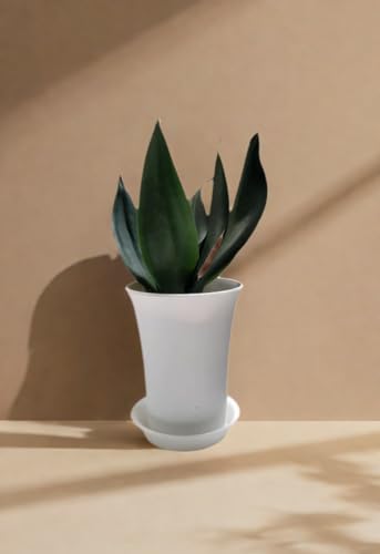 6 Pack 2.5 inch Plant Saucers Flower Pot Trays, Plastic Planter Drip Tray - view 3