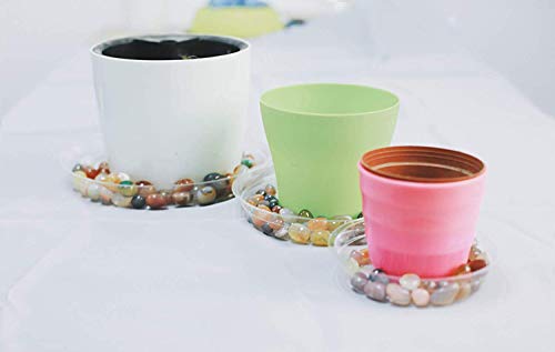 10 Inch 5 Pack Clear Plant Saucers Flower Pot Tray Excellent for Indoor & Outdoor Plants - view 5