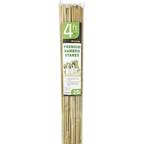 Natural Bamboo Stakes 4 Feet, Eco-Friendly Garden Stakes, Plant Stakes Supports Climbing for Tomatoes, Trees, Beans, 25 Pack - view 6