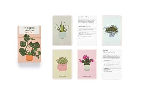 Houseplant Gardener in a Box: An Illustrated Houseplant Care Card Deck for Indoor Gardeners - view 4