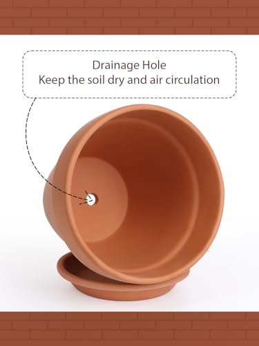 Terracotta Pot with Saucer 10&12 Inch - Ceramic Clay Pot for Plants with Drainage Hole, Large Terra Cotta Flower Planter with Tray for Indoor Outdoor Plants - view 3