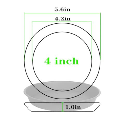 6 Pack of Plant Saucer 4 inch, Heavy Duty Plastic Pot Plant Drip Trays Saucers for Indoors Outdoor,Black - view 2