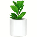 Large Planter for Indoor or Outdoor, White Glossy, 10 Inch