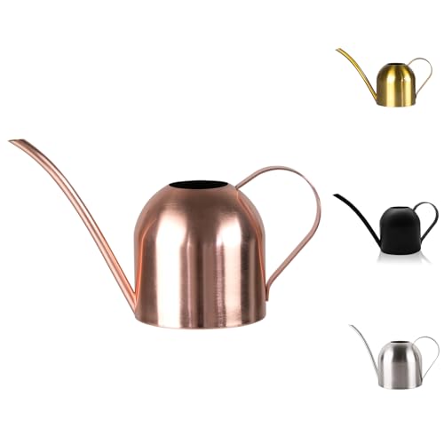 Small Watering Can for Indoor Plants, 15oz/450ml Stainless Steel Long Spout Watering Can for Succulents, Herbs (Rose Gold)