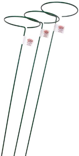 E553 48-Inch Plant Stem Support with 6-Inch Hoop, 3-Pack
