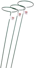 E553 48-Inch Plant Stem Support with 6-Inch Hoop, 3-Pack