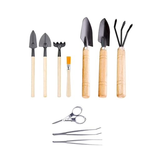 10pcs Mini Garden Tools Set Wooden Succulent Planting Kit for Cacti