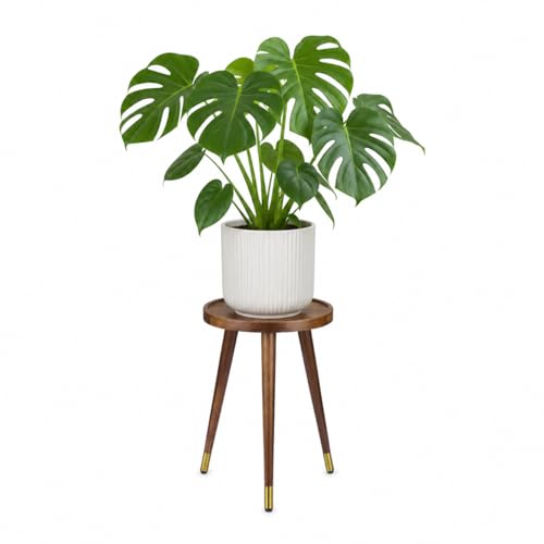 AcaciaWooden Plant Stand Indoor（12"x17"）