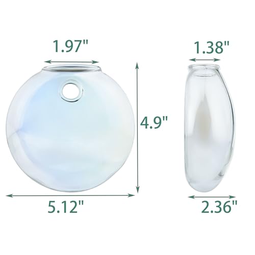 4 pcs Glass Wall Hanging Planter, Oval Terrarium Vase, Propagation Station for Hydroponics, Indoor Plants, Home Office Decor (Medium) - view 2