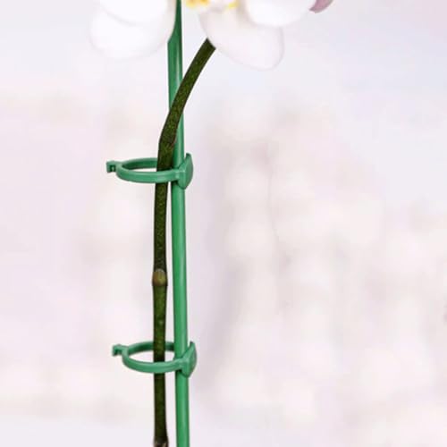 Adjustable Plant Support Stakes, Green PP Fiberglass Upright Growth Guide - view 5