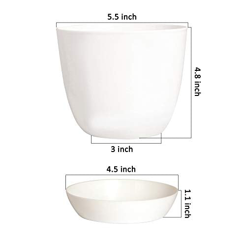 8 Pack 5.5 Inch Plastic Planters with Saucers, Indoor Flower Plant Pots, Modern Decorative Gardening Pot with Drainage for All House Plants, Flowers, Herbs, Succulents and Hanging Plants - view 2