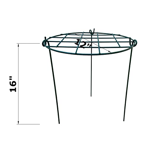 10 Pack 12 x 16 inch Poeny Cage Grow Through Grid Plant Brace Flower Support Rings,Round Metal Plant Stakes Rings, Strong Large Garden Supports for Flowers, Peonies, Rose, Lily - view 2