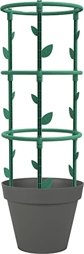 Plant Support – To be assembled – Diameter 25 x 66.3 cm – Canada Green - view 3