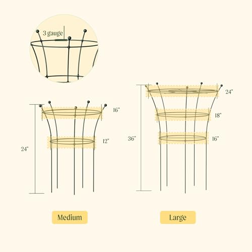 Peony Cages and Supports 2 Pack, Heavy Duty Metal Flower Support Cage, 24"(W) x 36" (H) Trumpet Plant Support for Peonies, Roses, Perennials & Garden Flowers, Rust-Resistant Steel Plant Support Ring - view 2