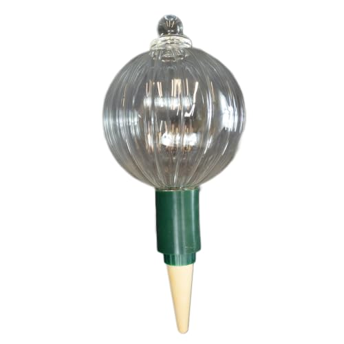 Glass Globe with Bottle Adapter