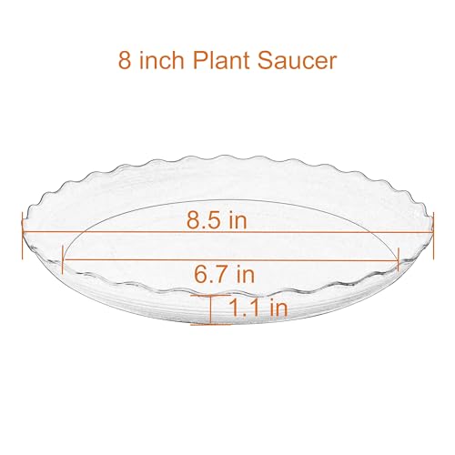 6 Pack Plant Saucer 8 inch, Heavy Duty Plastic Plant Water Tray, Planter Saucers, Flower Pot Tray Water Trays for Plant Pots (Black) - view 2