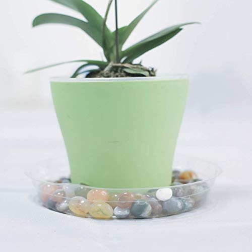 10 Inch 5 Pack Clear Plant Saucers Flower Pot Tray Excellent for Indoor & Outdoor Plants - view 7
