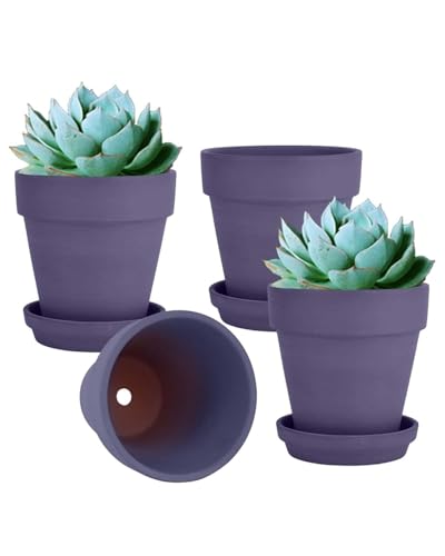 6 Inch Purple Terracotta & Clay Pots with Saucer, 4 Pack