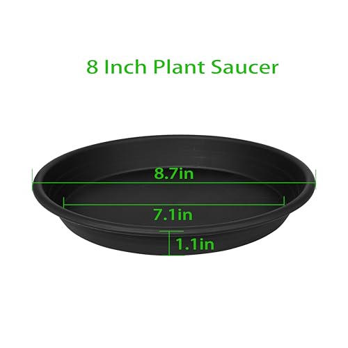 6 Pack Plant Saucer 8 inch, Heavy Duty Plastic Plant Water Tray, Planter Saucers, Flower Pot Tray, Planter Tray, Bird Bath Bowls, Water Trays for Plant Pots 7"/8" (Black) - view 2