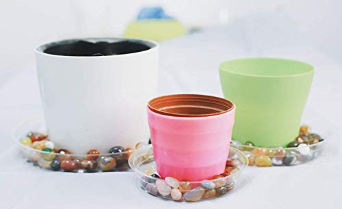 10 Inch 5 Pack Clear Plant Saucers Flower Pot Tray Excellent for Indoor & Outdoor Plants - view 6