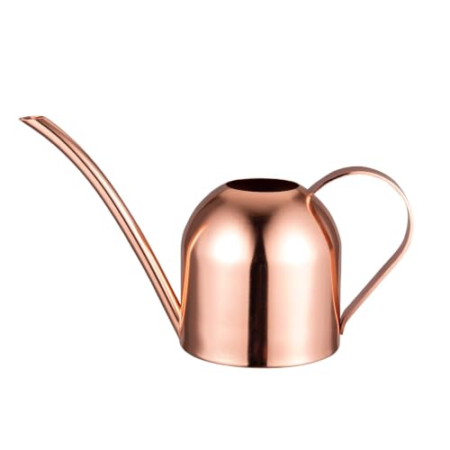 Mini Indoor Watering Can for Small Plants, Stainless Steel with Long Spout, 15oz/450ml – Perfect for Desk, Windowsill & Bonsai