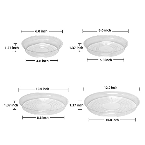 20 Pack Plant Saucers (6 inch / 8inch / 10inch / 12inch) Clear Plant Saucers Flower Pot Tray Excellent for Indoor & Outdoor Plants - view 3
