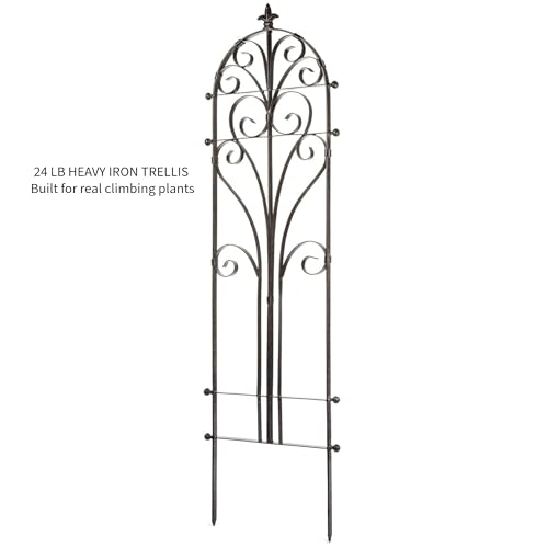 Scroll Garden Trellis 58" H, Freestanding Heavy Duty Iron 24 lbs - view 4