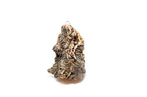 3 Small Chunk Natural Cork Bark DIY Kit with Three Assorted Air Plants, Glue and Hook - Live Tillandsia Succulent House Plant - Wholesale and Bulk - Easy Care Indoor and Outdoor Plants - view 3