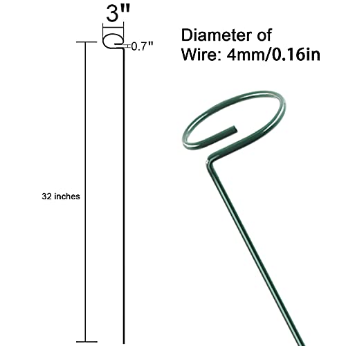 12 Pack 36 inch Plant Support Stakes,Single Stem Plant Support Stake Single Plant Stem Garden Flower Support Stake Steel Plant Cage Support Ring for Orchid Gladiolus Iris Dahlia Amaryllis Rose Lily - view 3