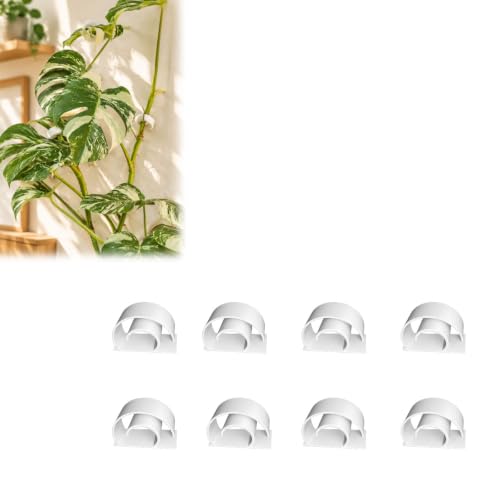 Plant Wall Hook Climbing Plant Support Vine Support Clip for Plants 8-Pack