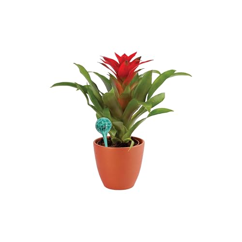 4-Piece Watering Globe Set, Colorful Hand-Blown Glass Plant Watering System - view 3