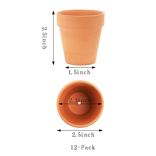 2.5 inch Terracotta Pots with Drainage Holes,Small Mini Clay Ceramic Pottery Planter,Cactus Flower Terra Cotta Pots,Succulents Nursery Pots for Indoor/Outdoor Plants,Crafts,Wedding-12 Pack - view 2